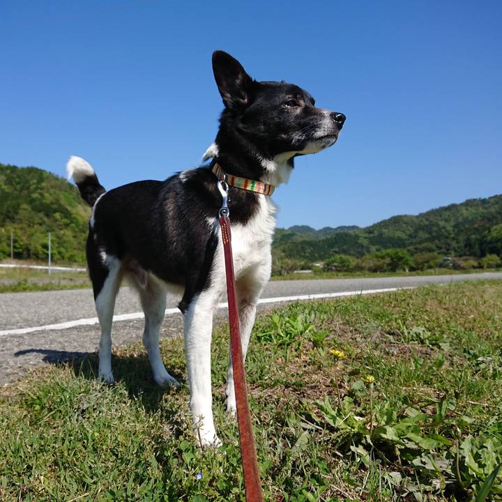 5cc86afd 6ed9 4c8c a924 bf29c24f5c45 1620022081018