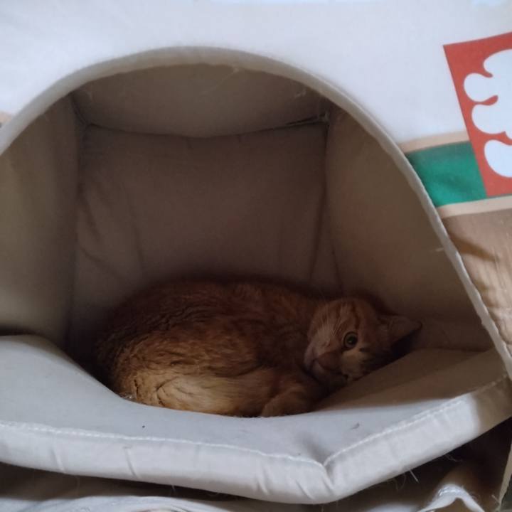 5cc86c5e ec6a 45c5 a1cf 0acfa66bb2b6 1681735294495