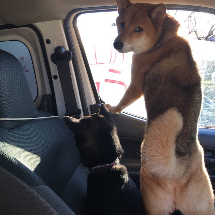 5cc8a7a1 187d 4975 a059 a0c535f6dd9c 1577960299532