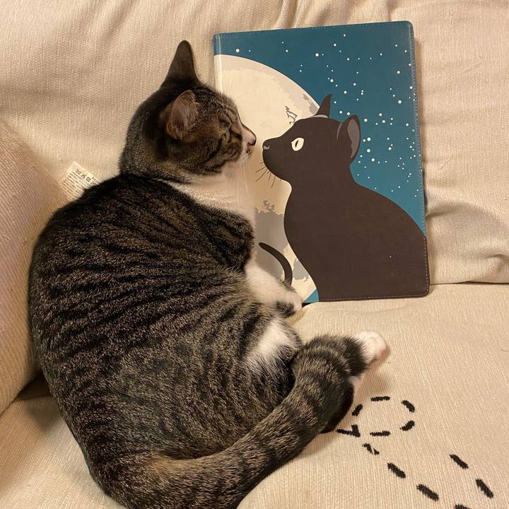 5cc8b43e 3b2d 4cfa a99b 755370099afb 1729413081978