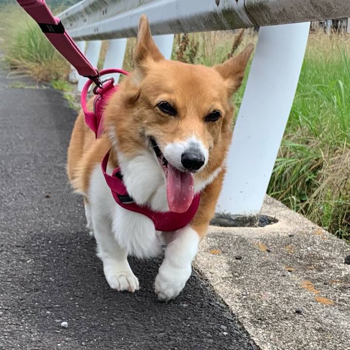 5cc8eec6 e102 4b80 b0fe 1a2df1b71cd4 1717905831127