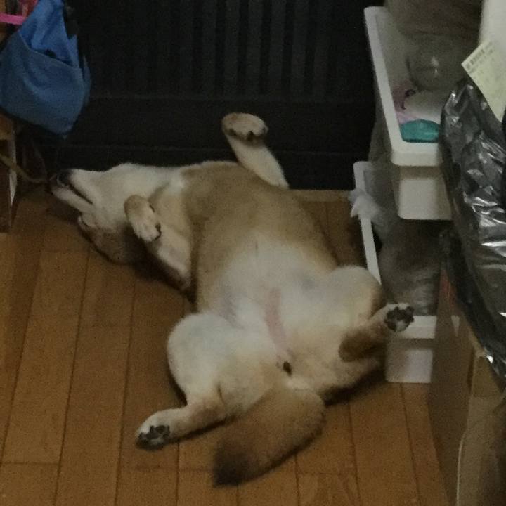 5cc8fb2a a88d 487b 9d47 2422d4b4dc3f 1591966725849