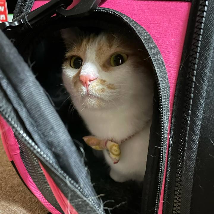 5cc8fe75 310b 4d51 8142 5a5b27d4127e 1633785950652