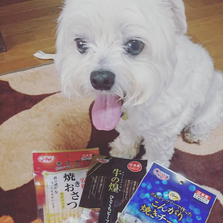 5cc908c6 6d33 445f af15 edce4e799009 1619854286677