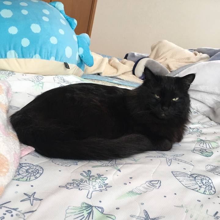 5cc90e3d 4db5 4266 8c37 f4d56443b37a 1552301497122