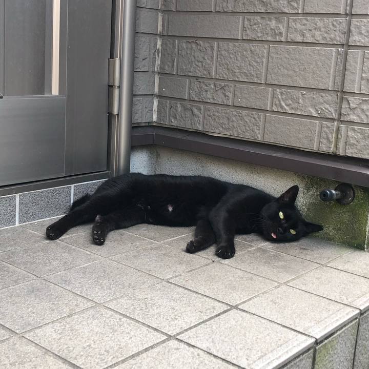 5cc90e86 a58c 45b0 8c36 7d4a2786f71e 1568319122653