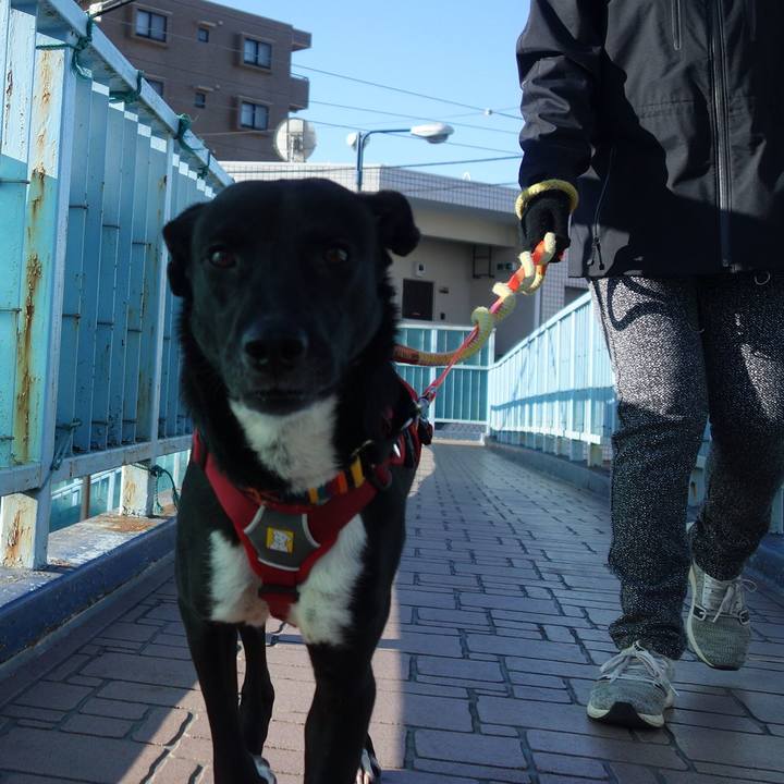 5cc934a6 70c2 4009 8db3 bd2f2844fb82 1583485047930