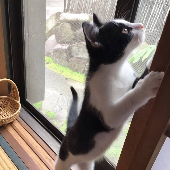 5cc9e52f 6060 451d a379 b9de8ea41c2f 1625726421761