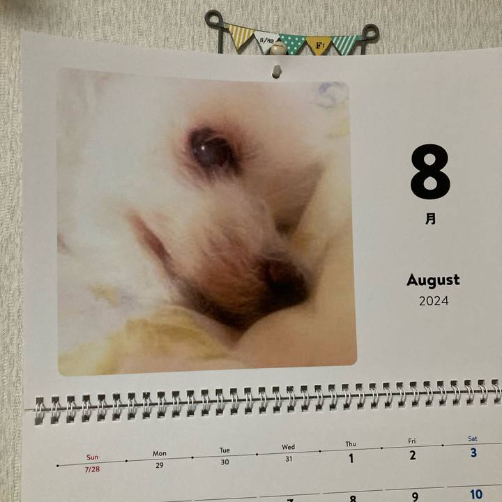 5cc9fa28 c485 4248 899a e62b4d4149fc 1722516182125