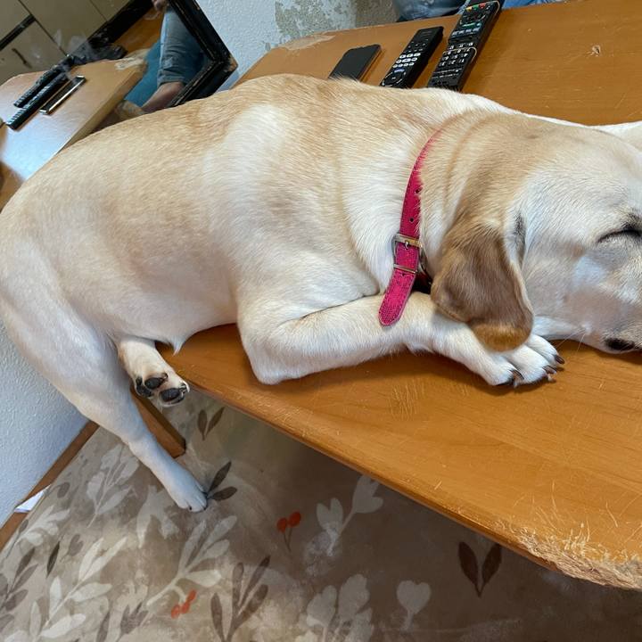 5cc9fc6f 4760 4c4b b93a 07c76597bdbc 1633864939417