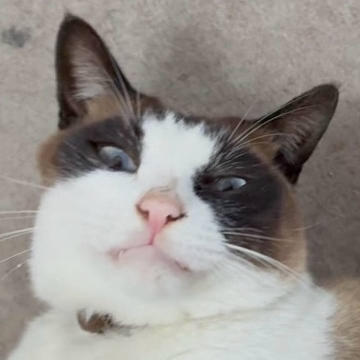 5cca31b7 62c2 4de0 b931 cf7f3625f9b0 1750558306308