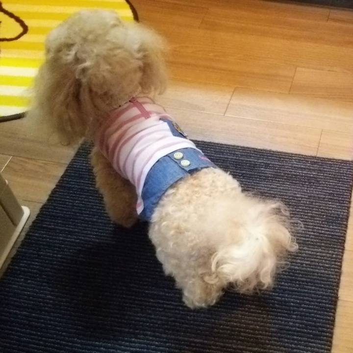 5cca3706 dbe1 4bac bf1f ac1ec8f8f2ed 1526081393851