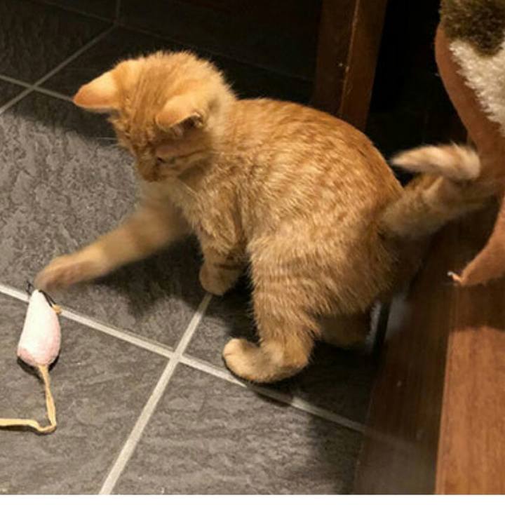 5cca44d7 f950 4567 b705 6fe03de9ca46 1540182165342