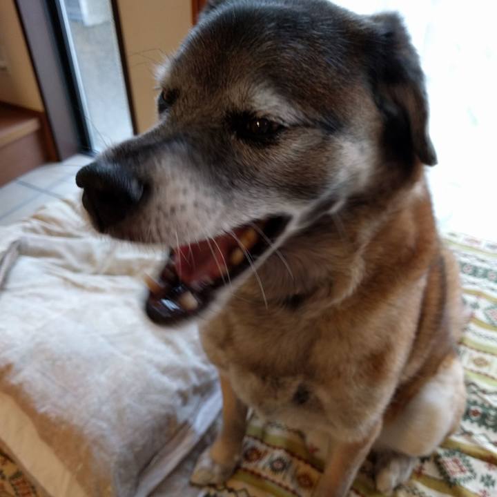 5cca4e46 c29e 494a a1fc b22090089236 1520895210348