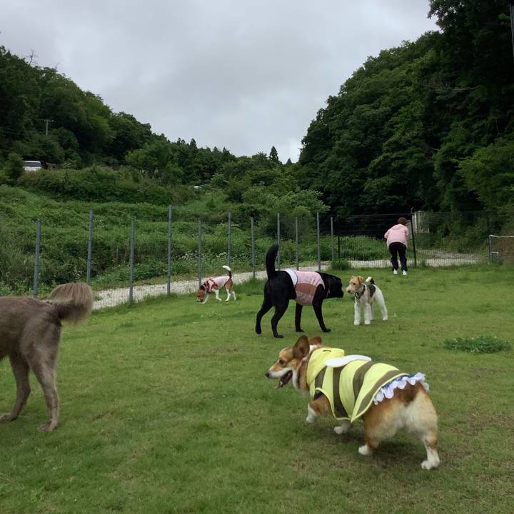 5ccaf134 74a2 4182 9830 44a73f0c44b4 1782561614283