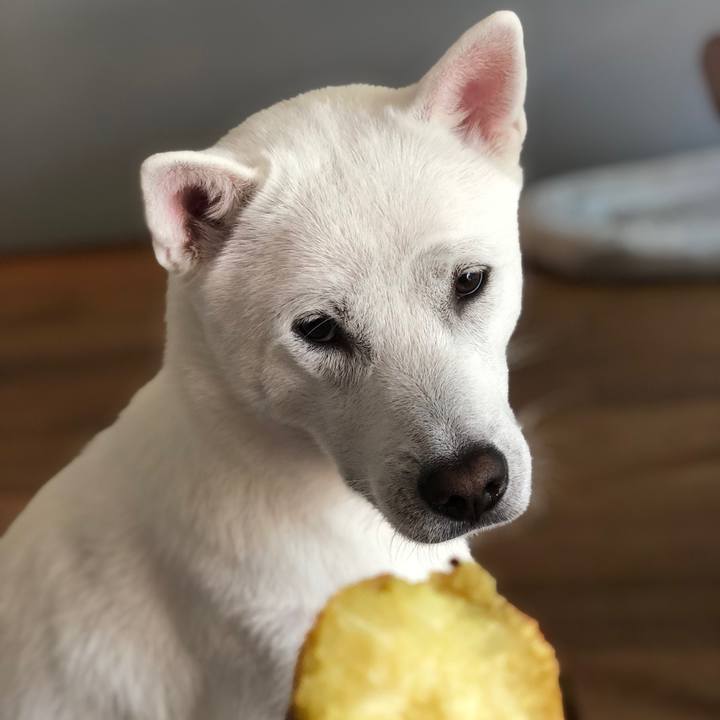 5ccafcf7 3135 424b 9107 ffe33830c7d1 1570667751262