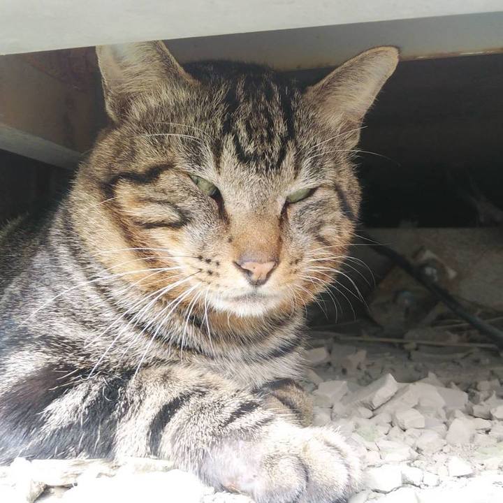 5ccb1b16 d0ba 4c52 a031 636abc1149cc 1601359780434