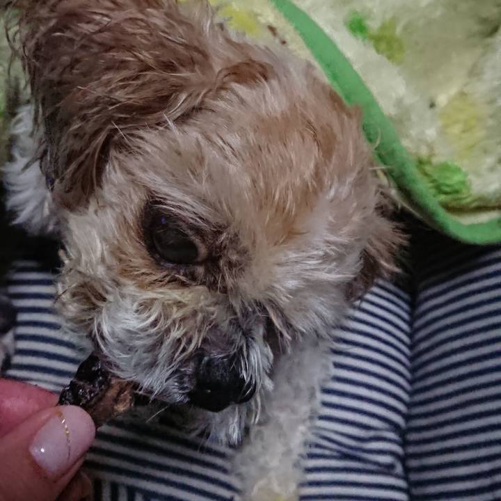 5ccb1de6 05fd 4f4a b41a 85e0f84932ab 1522191614963