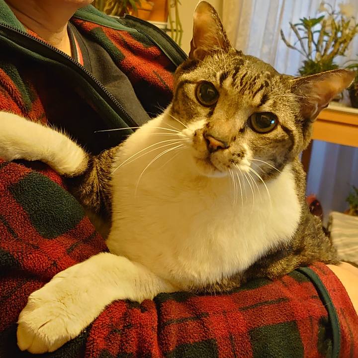 5ccb3e8c ee90 4733 9e32 a2c2c48a15ff 1768264083720