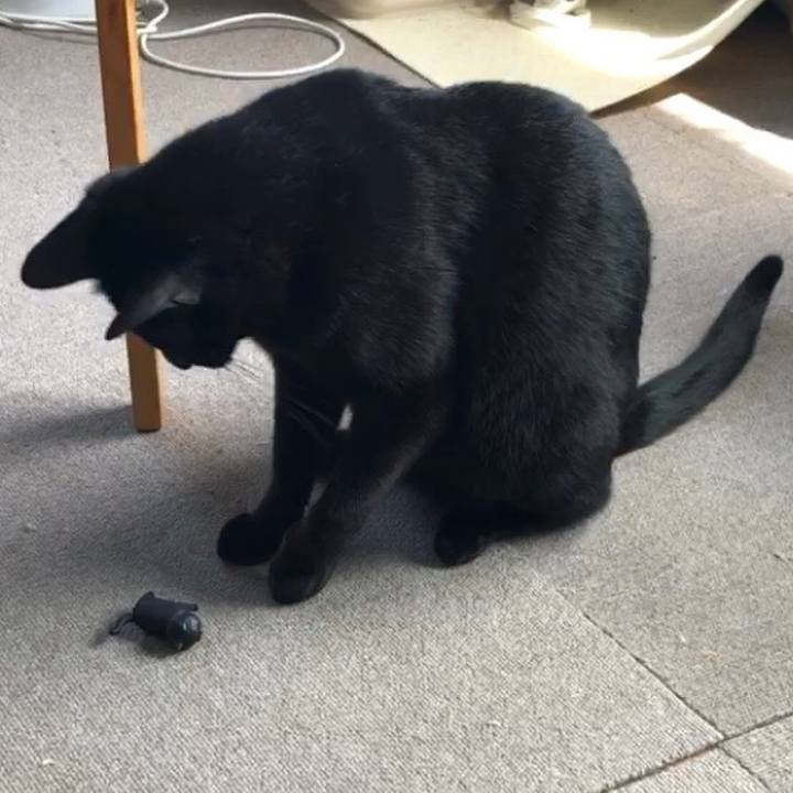 5ccb6afb 951c 4fd4 9efb d39adcfad4af 1687774778451