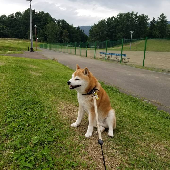 5ccb6d04 8f60 49d3 8110 3fe38cc58cf1 1653548981334