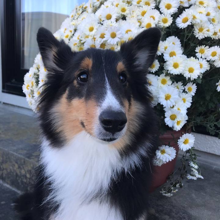 5ccb7149 c718 41c7 b933 eecebac16bc4 1541367392701