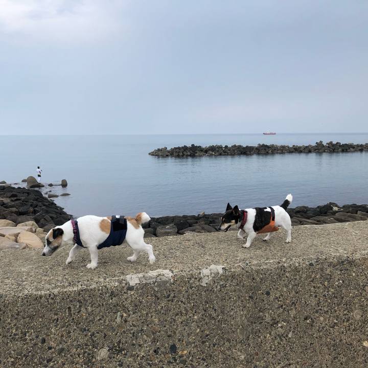 5ccb8074 6696 44c9 a63d 78e0db386b55 1561165436153