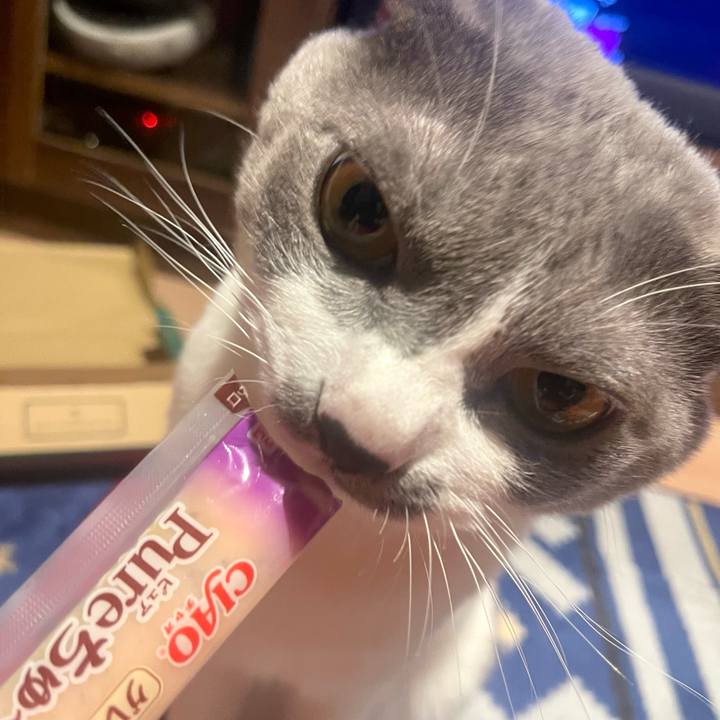 5ccb86b3 d257 4d2b 89eb 08d59b5e4c83 1666601410713