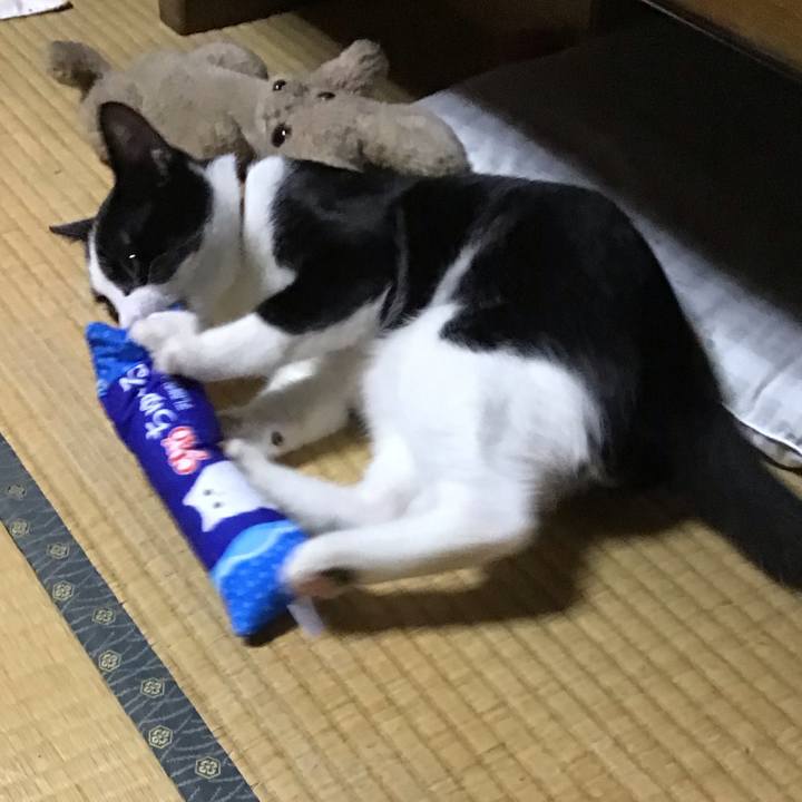 5ccb9f36 cc9b 4a9f 8758 68c208c5ec95 1630316305082