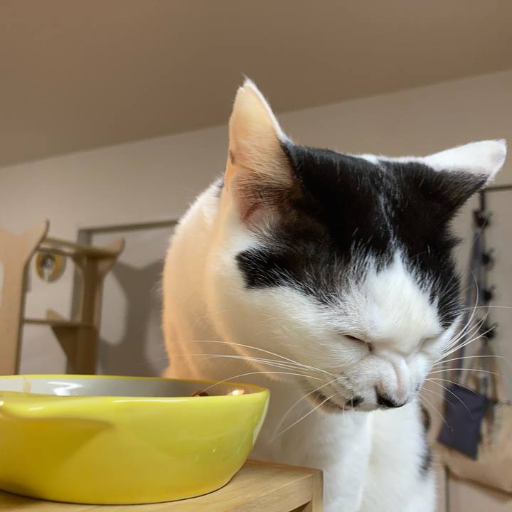 5ccba271 74c4 49f2 929b b3a2a50d571c 1768943193722