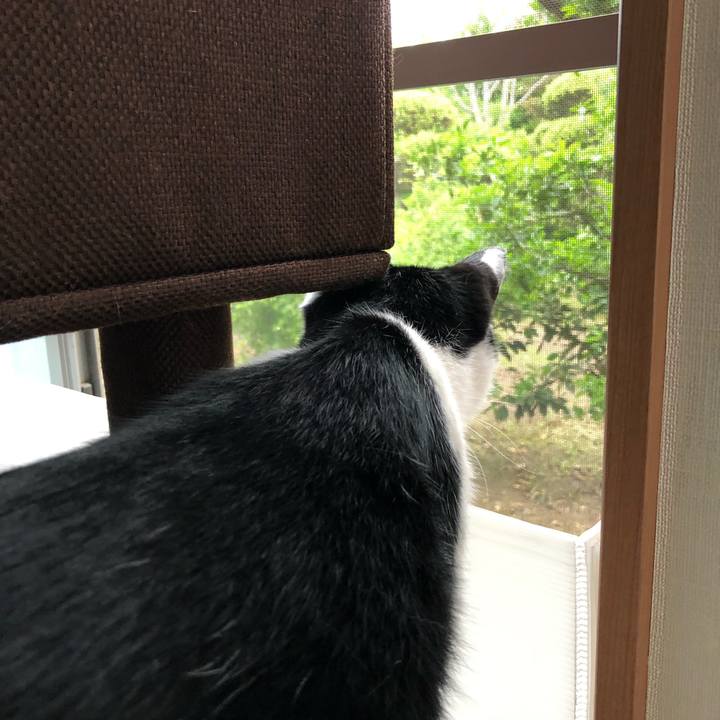 5ccbeafc f031 4ad7 ae00 d188323ffd38 1558385144576