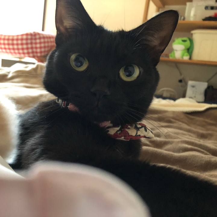 5ccc555c 7010 404d b603 7cae9891863e 1574850353226