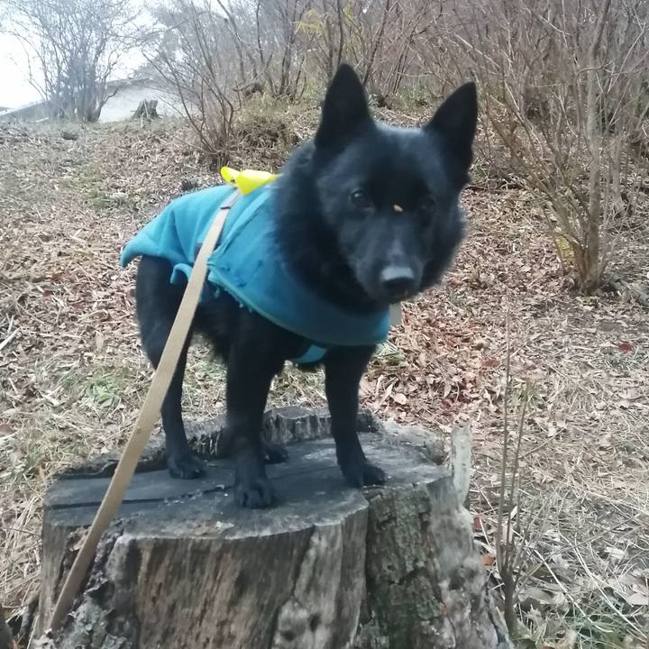 5ccc82d4 926f 4066 b020 524558d141a8 1644790005489