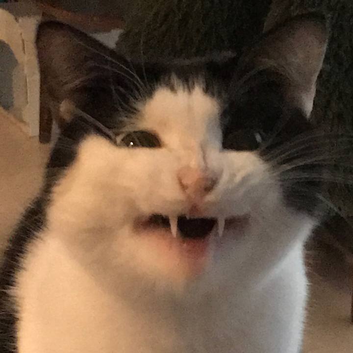 5ccc8769 3cba 413e 9d97 21180e8b34c5 1520519706077