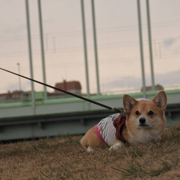 5ccca078 decc 430f 9cbd f257eafebe92 1579442260396