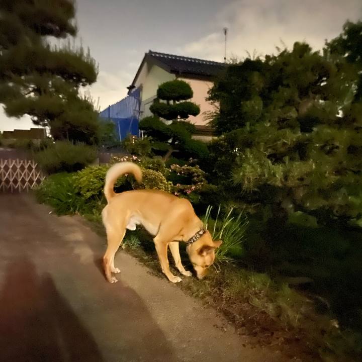 5cccedf8 f30a 4cdd a60c c740e8a4c5b3 1590666548665