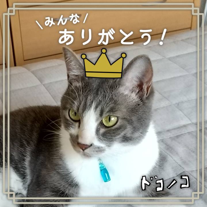 5ccd1f93 6fbf 4dd8 9cf4 1abc14162011 1623241712175