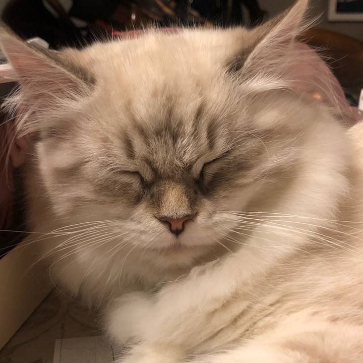 5ccd3443 e74a 43a0 97f7 3aa5cdd94173 1674131149820