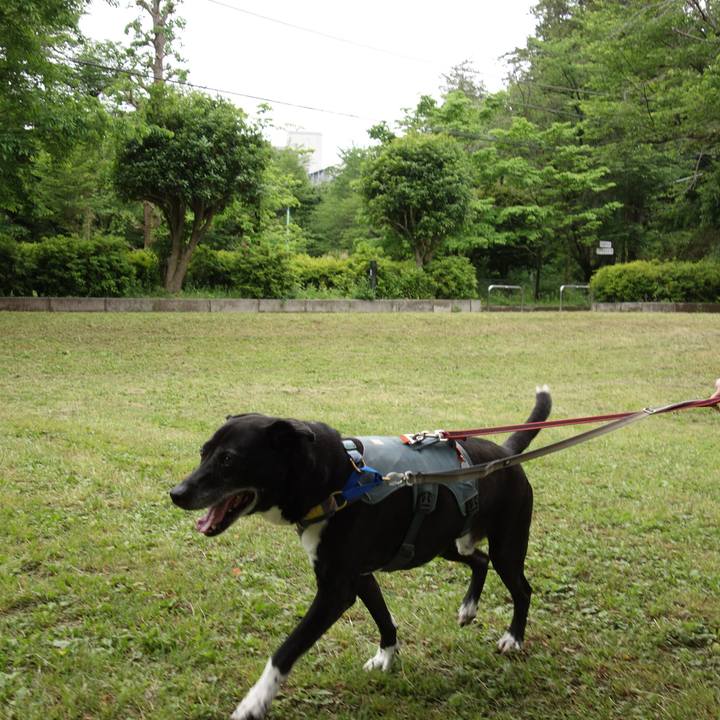 5ccd417f f9a5 4600 ac2e 5a9c7c69d9a6 1746748667481