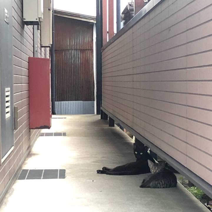 5ccd4262 d79b 48f3 8af8 3c2759b48166 1565553915940