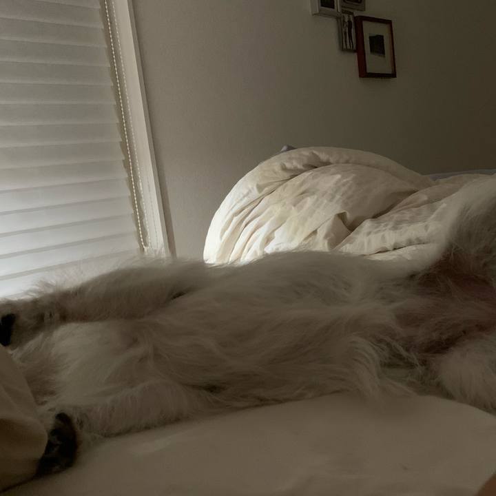 5ccd6711 bc49 4cf8 bfa8 a84bb7b8bdc3 1757601158424