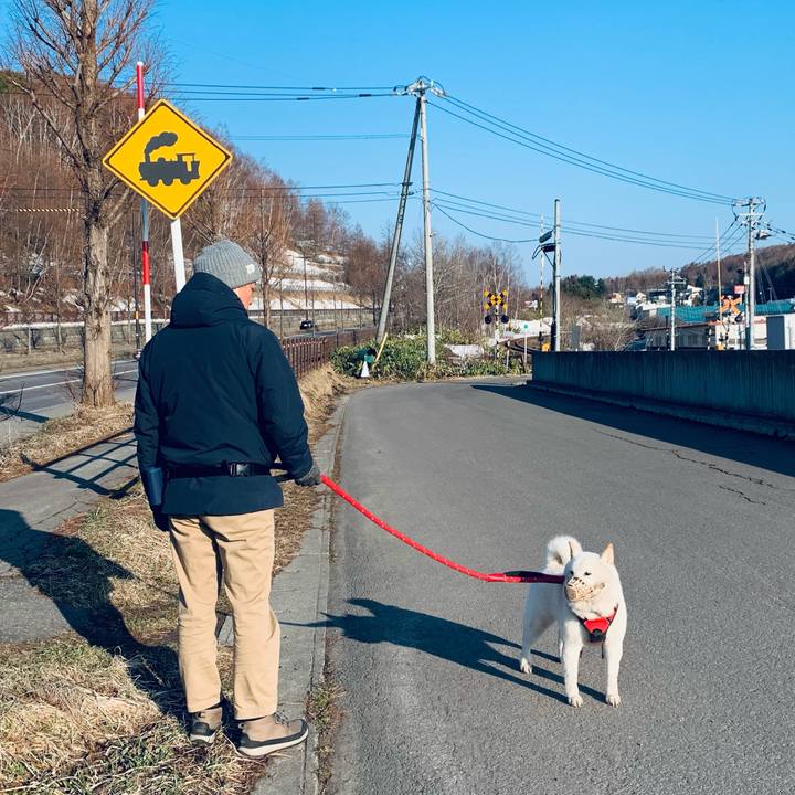 5ccd8c74 5f86 4151 9f87 8e96d65e4765 1680129668371