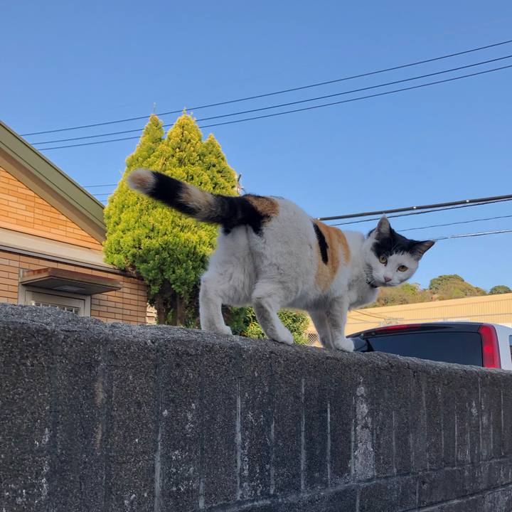 5ccdb9c9 13f5 4926 85b8 75e6d307a762 1617402084187