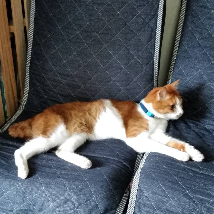 5ccdc52a 3f80 4c8a 8139 6ee6bc3b06b9 1562298235965