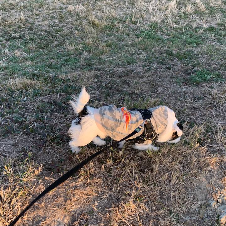 5cce1375 e224 4ed6 8b73 f39cde0f3bcb 1582286504548