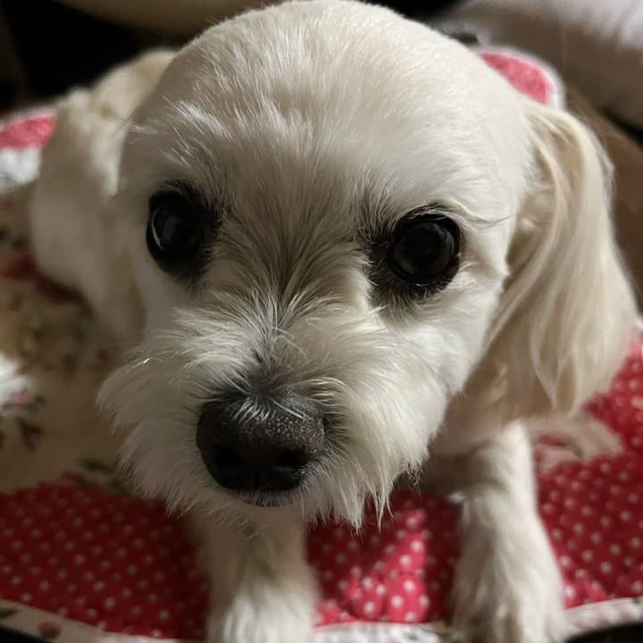 5cce583d df7f 4749 b4b9 1f18c8e3d56e 1685450120365