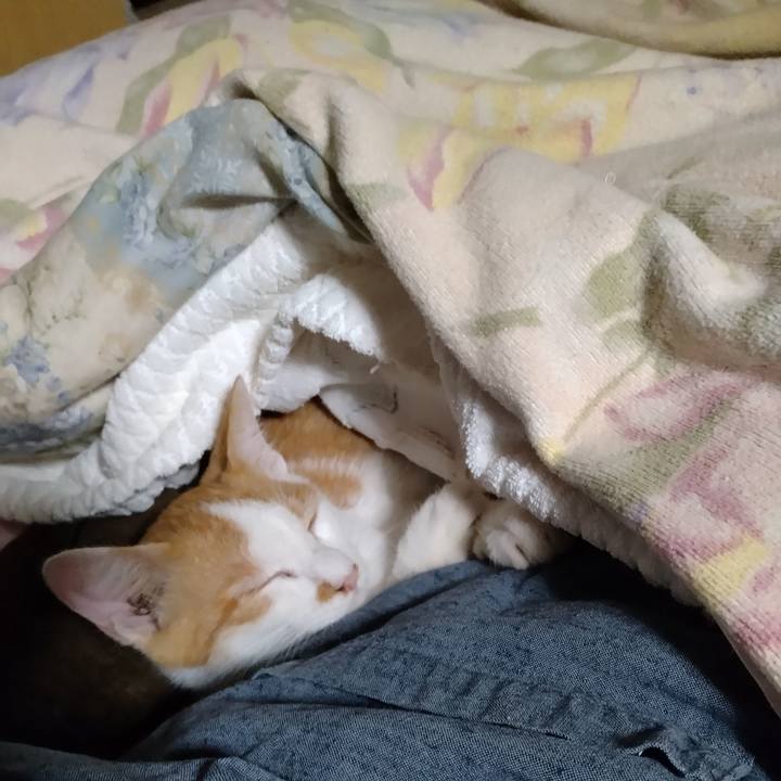 5cce5e56 537f 4fa1 86bb 16950f7cb23b 1729254359108