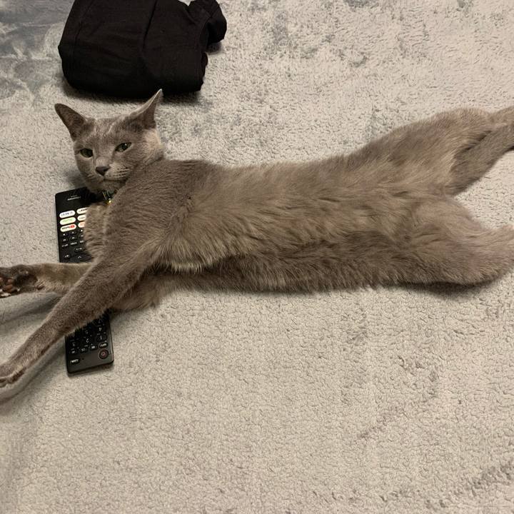 5cce6802 6113 4172 8f91 0ed45a57b741 1632565314231