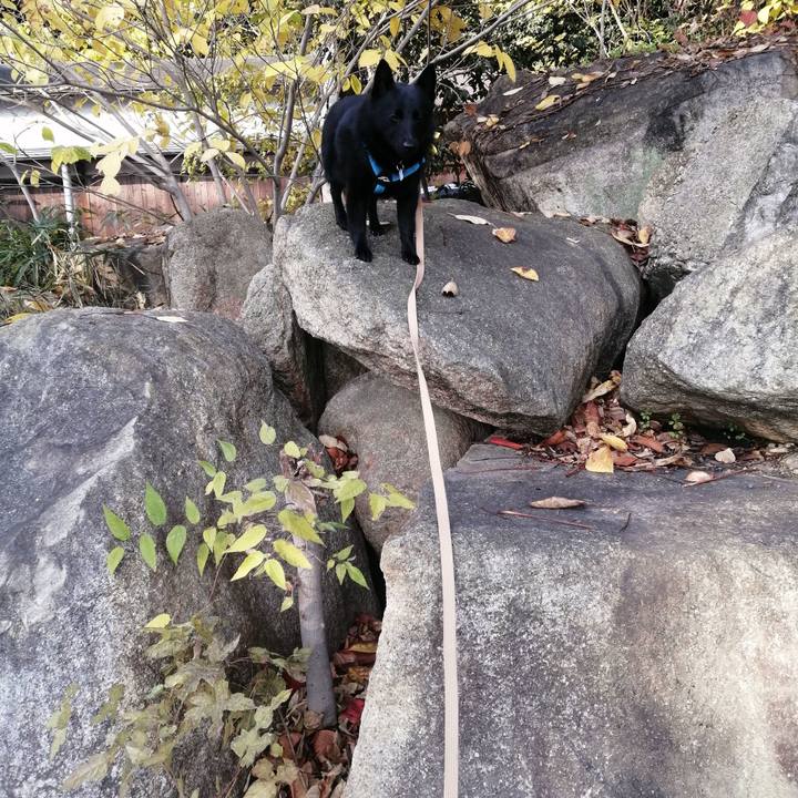 5cce9b18 dac1 4707 b95f 7b03874b21ec 1639265824829