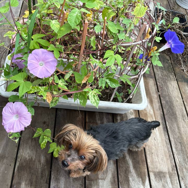 5cce9c55 4012 4366 9406 8f427f1ec3fb 1727744235808